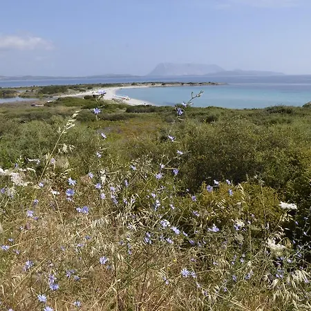 Tatil Evi Le Al Centro