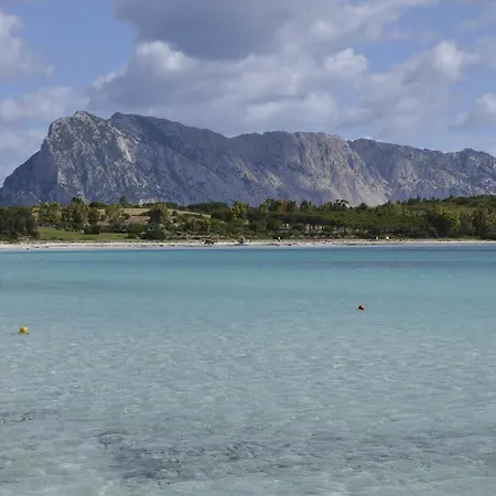 Le Al Centro San Teodoro (Sardinia)