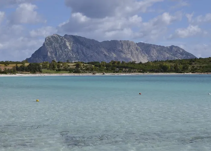 Le Al Centro San Teodoro (Sardinia)