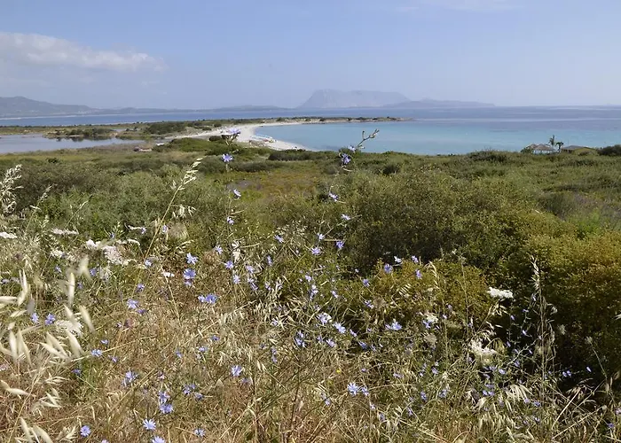 Casa de Férias Le Al Centro